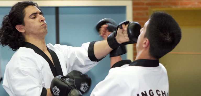 Wing Chun Kung Fu Stoot