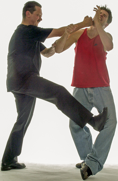 Wing Chun Beentechnieken