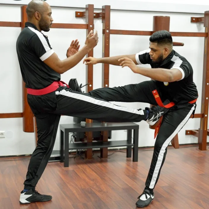 Wing Chun Trap Wing Chun Trap